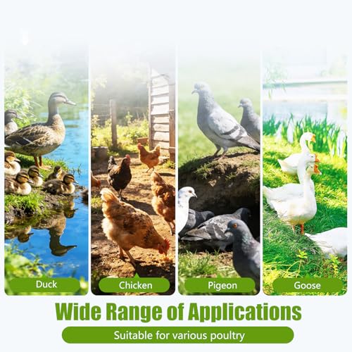 Automatic Chicken Waterer Stainless Steel Poultry Fountains Chicken Waterer System Water Dispenser Waterer Float Controlled for Duck Goose Pigeon Quail