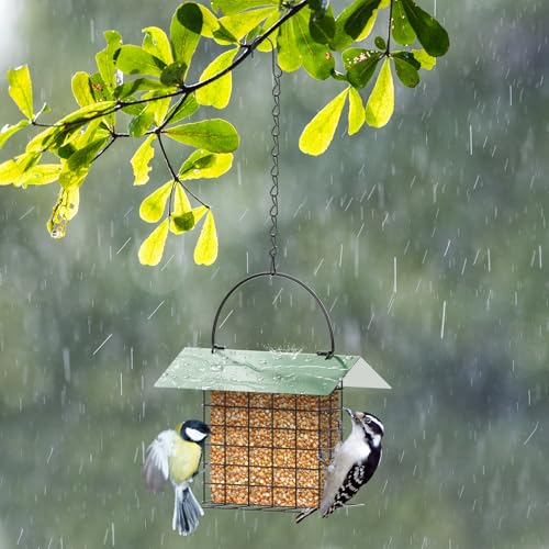 Bird Feeder for Outdoors, Squirrel Proof Suet Feeder for Outside Hanging | Adjustable Chain Hanging for Garden Yard Outside - Suet Cake Feeders Squirrel Proof Birdfeeder