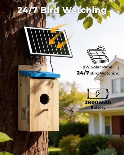 Bluebird House with Camera,Bird House with Camera Solar Powered | Motion Detect & Night Vision,App Control,Wi-Fi Bird Watching for Backyard Nesting,Camera Bird House,Smart Bird House,Blue - color: Light Blue