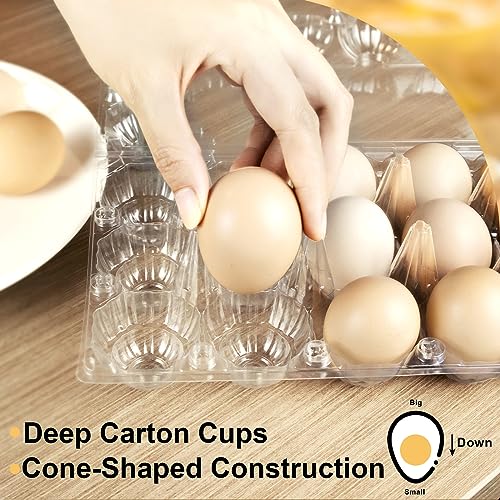 Pintuson 40-Pack Egg Cartons (18 Count) - Clear Plastic Egg Holder for Fresh Chicken Eggs - Reusable 3x6 Gird Egg Container with Secure Snap for Farmers Market & Transport - Fits Small to Large Eggs - color: Medium-40PK-18CT