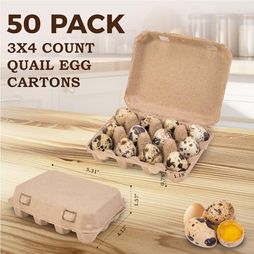 50 Pack Quail Egg Cartons, 3x4 Style Paper Pulp Quail Egg Trays, Sturdy & Reusable Quail Egg Holder 12 Count Dozen Quail Egg Storage Tray for Farmers, Home Use & Transport - style: 50Pcs Quail Egg Carton