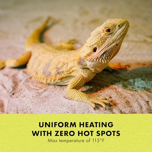Zilla Heat Mat, Terrarium Heater for Reptiles, Snakes (Ball Pythons, Corn Snakes), Leopard Geckos, Tortoises, Amphibians and Arachnids, Mini, Fits 1-5 Gallon, 4 Watt