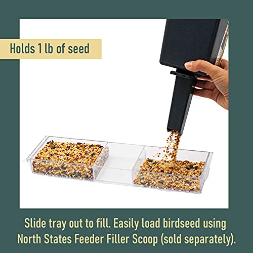 North States Nature's Yard - Large Clear Choice Window Bird Feeder: Strong Suction Cup Bird Feeder for Window Viewing, Holds 1 Pound of Seed