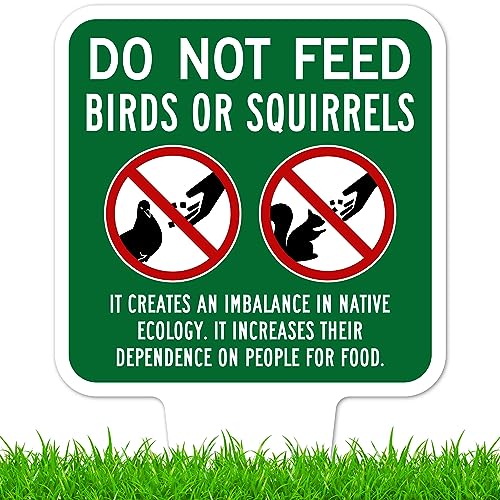Do Not Feed Birds and Squirrels Sign, 11"x21", Heavy Duty Integrated Ground Stakes, Indoor/Outdoor Use, Rust Free Aluminum Composite, Made in USA by My Sign center - color: Birds/Squirrels, size: 11"x21"