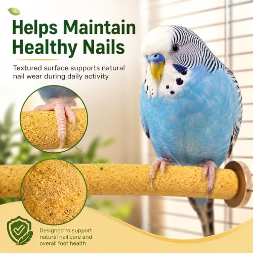 Sanded Perch Covers for Parakeets, Finches & Canaries | 10 sanded perch covers for small birds. Helps maintain nails, improves grip, fits 3/8” perches.
