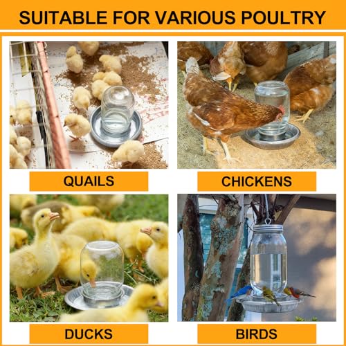Potchen 2 Pcs Baby Chick Feeder and Waterer Base, Galvanized Steel Feeding Tray with 8 Holes, 1 Quart Compatible with Mason Jars & Standard Jars for Small Birds Chicks(Waterer) - style: Waterer