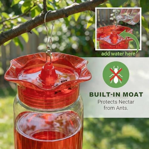 Hummingbird Feeders for Outdoors 2 Pack 12oz Plastic Leakproof | Wide Mouth Easy Clean, Clear Bottle, 5 Feeding Ports, Detachable Base, Weatherproof Hook, Compact for Small Yards