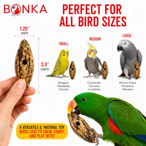 Bonka Bird Toys 3410 Drilled Mahogany Pods Shreddable Foraging Bird Toy with Natural Materials Hanging Cage Toy 9" for Small to Medium Parrots Conure Cockatiel Budgie Chewing Enrichment (Pack of 6) - size: Pack of 6
