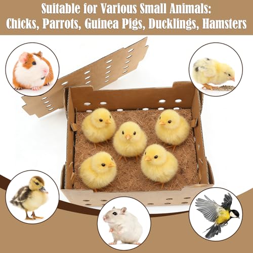 Feifeiya 10 Set Poultry Baby Chick Shipping Boxes with 10 Coconut Blankets Live Bird Shipping Boxes Cardboard Pet Carrier Hold 25 Chickens for Poultry, Pigeons, Canaries