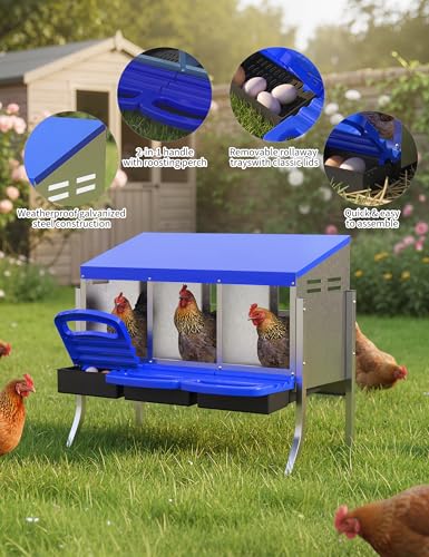 GarveeLife Chicken Nesting Box 3 Hole, Galvanized Steel Nest with Roll Away Egg Collection & Swing Perch, Easy-Clean Laying Box for Hens, Heavy Duty Design for Chicken Coop - color: Blue, size: 3 holes with legs