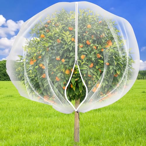 1 Pack 9.8 x 9.8 ft Fruit Tree Netting Covers with Zipper and Drawstring | Ultra-Fine Mesh Plant Cover for Fruit Trees, Flowers and Vegetables, Helps Shield Plants from Birds and Insects - size: 9.8 x 9.8FT/1Pack