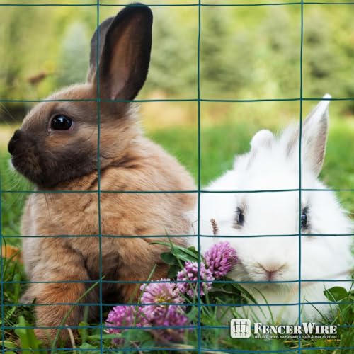Fencer Wire Green Vinyl Coated 16 Gauge Rabbit Guard Fence, Poultry Outdoor Fencing Barrier Wire Roll for Garden Yard, Protecting Against Rabbits, and Other Small Animals Damage (40 in. x 50 ft.) - size: 40 in. x 50 ft., style: Green Vinyl Coated
