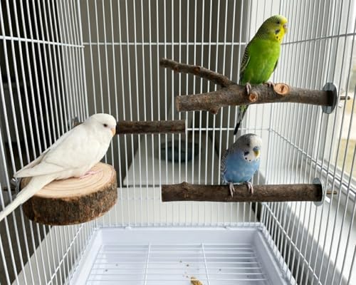 6 PCS Bird Perches for Cage | Natural Apple Wood Perch Set with Platforms for Small Birds, Parakeets, Budgies, Cockatiels Climbing, Resting & Foot Exercise