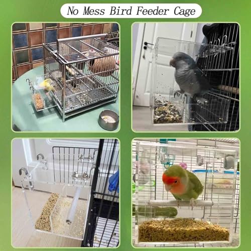 Automatic Acrylic Bird Feeder for Cage, No Mess Bird Feeder for Cage | Suitable for Bird Parrots, Canary, Parakeet, Budgerigar, Crested Myna, Cockatiel (XL) - size: XL