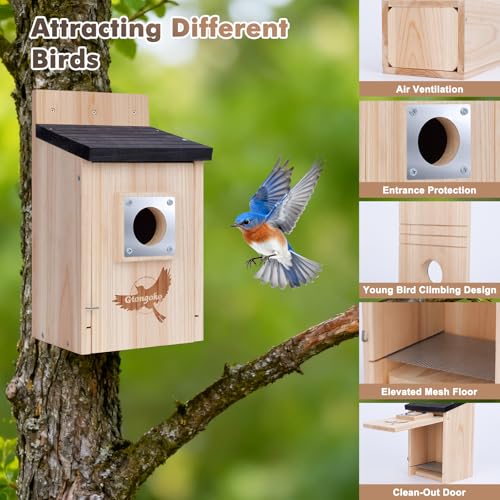 Gtongoko 2 Pack Bluebird Houses for Outside with Metal Predator Guard Black | 1-1/2" entrance, Elevated Mesh Floor, Climbing Grooves, Clean-Out Door, Air-Vent for Bluebirds, wrens, swallows, chickadees - color: Wood color-2pc