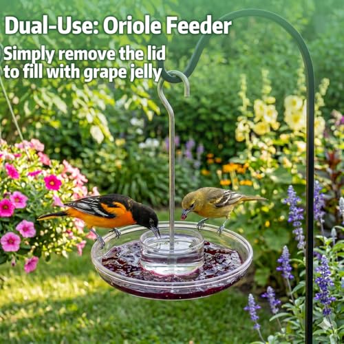 Kingsyard 2 Pack 16 OZ Saucer Hummingbird Feeders for Outdoors Hanging | 6 Bee Proof Feeding Ports, Leak-Proof Humming Nectar Bird Feeder, Ant Moat Easy Clean, Garden Décor Gifts, Oriole Feeders