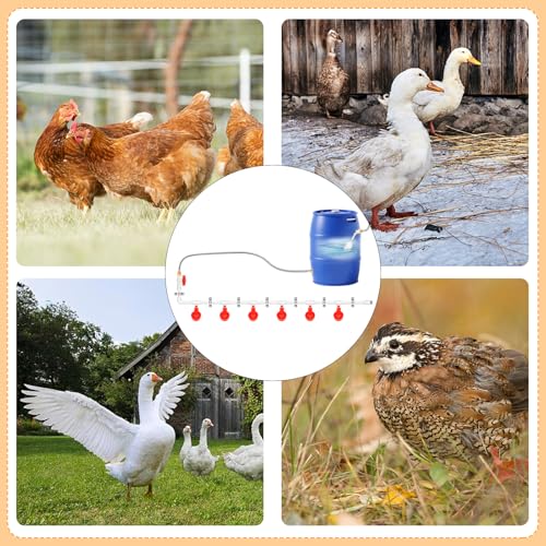 12 Pack Automatic Chicken Water Cups, Complete Set Pipeline Automatic Chicken Waterer System Poultry Waterer for Chick Duck Quail