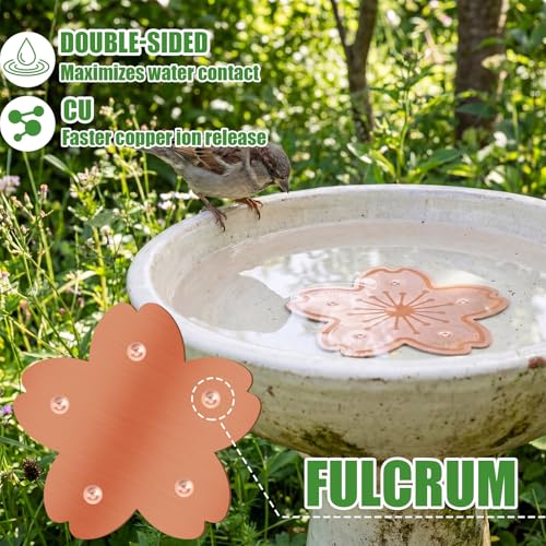 4 Pack Pure Copper Disk for Bird Bath Water Cleaner,Flowers | Triple-point Support, Outdoor Bowl Purification, Algae Prevention Safe, Pure Copper Discs, Flower Petal Design Shapes - size: Flowers