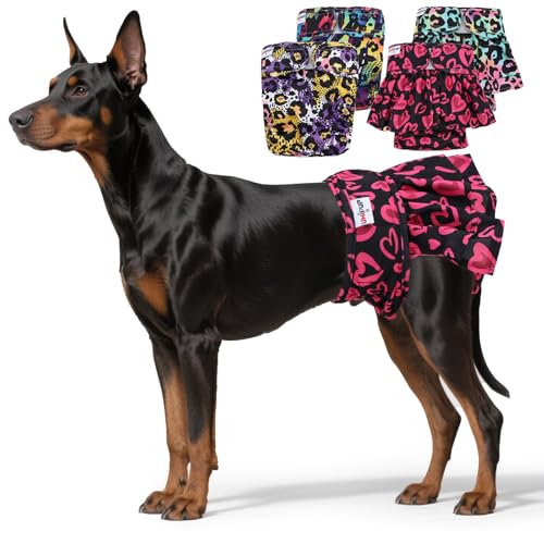 Female Dog Diapers Reusable No Tail Hole Period Panties Washable Diapers Female for Docked-Tail Frenchie French Bulldog Boston Terrier Without Tail (2 Pack Regular+2 Pack Skirts) U-WWDQB02XL - size: XL(Waistline:26"-34")