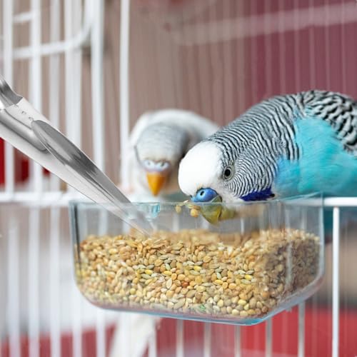 Toddmomy Bird Food Feeding Scoop Pet Feeding Food Shovel Bird Seed Scoop Funnel Stainless Steel Handle Spoon