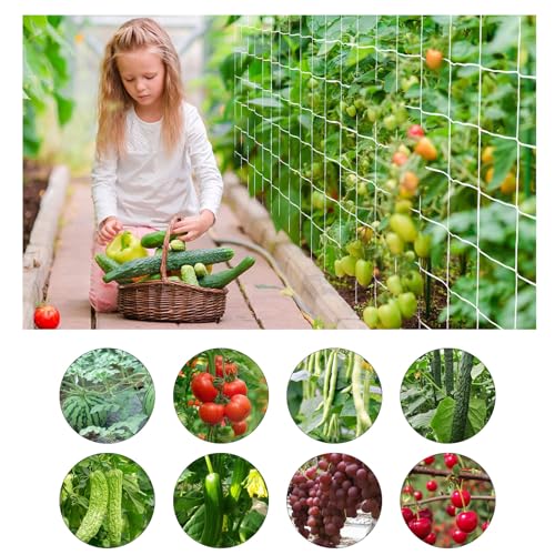 Trellis Netting, PDGROW Garden Plant Trellis Netting, 6 x 30 ft Heavy Duty Garden Trellis Netting, Outdoor Grow Net for Vines, Fruits, Vegetables, Grapes, Beans,Peas, 1 Pack - size: 6x30ft - 1 Pack