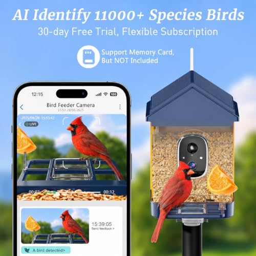 Bird Feeder with Camera, Solar Powered, 2K HD Live Video, Gifts for Men | AI bird recognition and real-time app alerts, built for reliable outdoor use in gardens, patios and backyards.