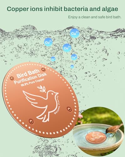 OICEME Bird Bath Purification Disk Pure Copper Outside Winter Solar Power Birdbath Humming Bee Water Fountain Window Feeder Stand Nectar Food Pole House Hanging Birdhouse Flower Bird Accessories - color: Copper 2PCS Flower＆Birds