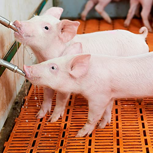 MECCANIXITY Pig Nipple Waterer 2Pcs Automatic Pig Feeder 1/2" PT Poultry Water Nipple Pig Drinker Stainless Steel Plastic Hat Duck-Mouth Type for Sows Drinking, Silver