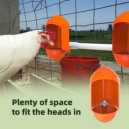 Large Chicken Waterer Cups Automatic with Anti-Roosting Cover | Poultry Waterer Cups Suitable for Chicks, Duck, Goose, Turkey and Bunny (5 Pack)