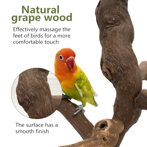 2ps Bird Perch for Cage,Grape Wood Parrot Perches with Chew Toys(Grapevine) | Climbing, beak sharpening, claw sharpening - color: Grapevine