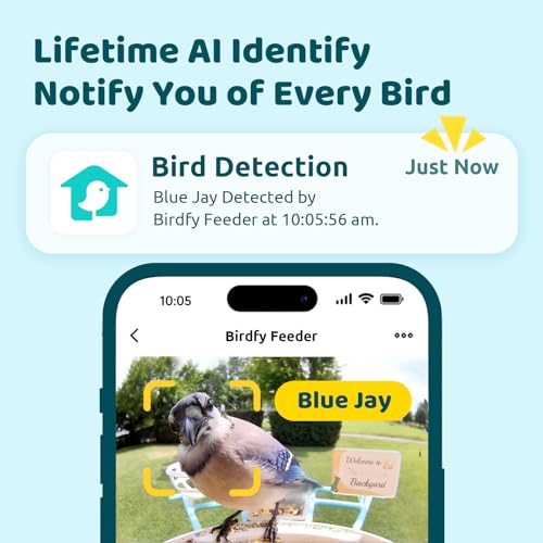 NETVUE by Birdfy Smart Bird Feeder with Camera, No Subscription, 1080P | AI Bird Species Identification, No Subscription, Night Vision, Live Stream, 2.4GHz Wi-Fi, Gifts for Bird Lovers, Yellow - color: Yellow, style: AI Solar