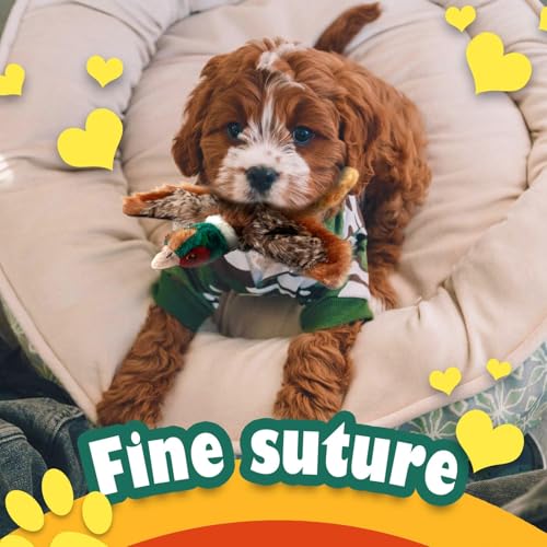 ALL FOR PAWS Dog Interactive Pheasant Toys, Squeaky Dog Toys, Stuffed Animal Dog Hunting Plush Toy, Small