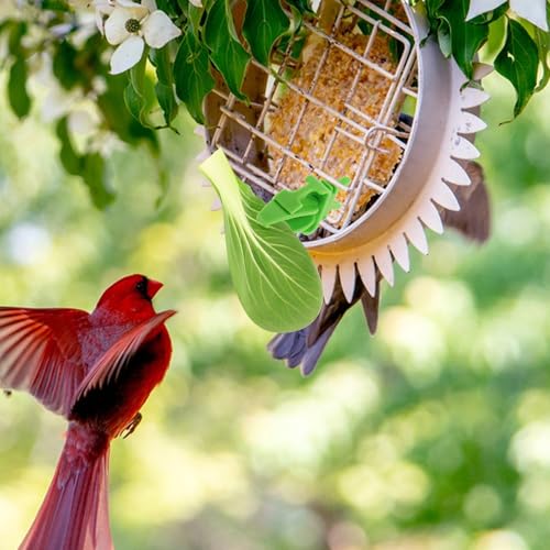 20pcs Bird Cage Food Holder Clips for Budgie and Conure Parrots, Pp Material Vegetable and Cuttlebone Feeders with Smooth Edges for Enriching Pet's Diet