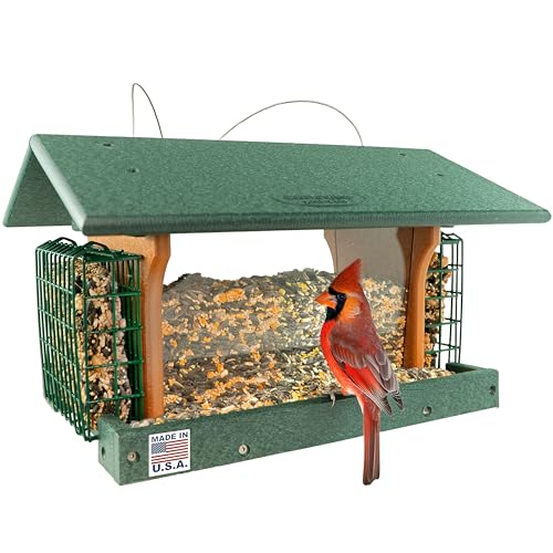 DutchCrafters Poly Hanging Large Hopper Bird Feeder with Two Suet Cake Holder Cages, Durable Long Lasting Outdoor Bird Feeder - Amish American Made in USA (Turf Green & Cedar) - color: Hanging - Turf Green & Cedar