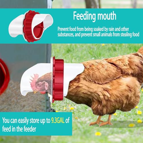 XINYI 9.3 Gallon Automatic Chicken Feeder, 6 Ports Gallon Chick Feeder No Waste with Adjustable Legs, Rodent Proof & Weatherproof Metal Raised Poultry Feeder - size: 6 ports with legs