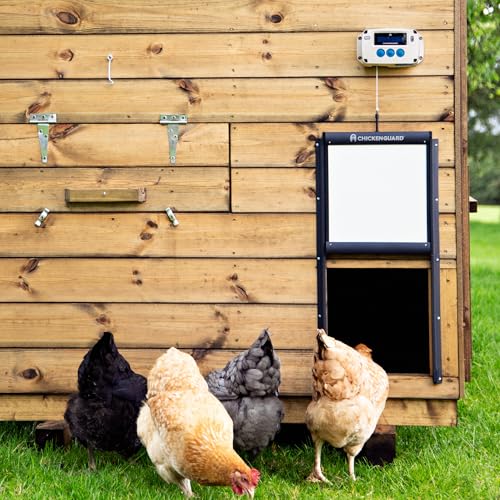 ChickenGuard Automatic Chicken Coop Door Opener, Power by Solar/Batteries/Electric. Strong Motor Lifts 2kg; Timer/Light Sensing; Motor Units only or Combination Kits (PRO + Door + Batteries) - size: PRO + Door + Batteries