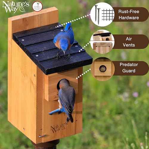 Wild Wings WWCH3 Cedar Blue Bird Box House - size: Bluebird Box House