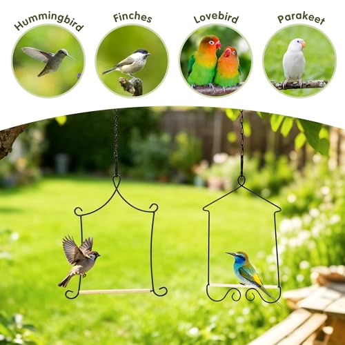 Metal Frame Hummingbird Swings and Perches with Wooden Dowel Black Bird Swing Outdoor Bird Perch Humming Bird Swing (4PK) - style: 4PK