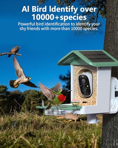 Bird Feeder with Camera, 2K Smart BirdCamera with Solar Powered, AI Identify Birds Species, Instant Arrival Alerts, 2.4Ghz WiFi Bird House for Outdoors, Ideal Gift for Family and Bird Lovers (Green) - color: Green