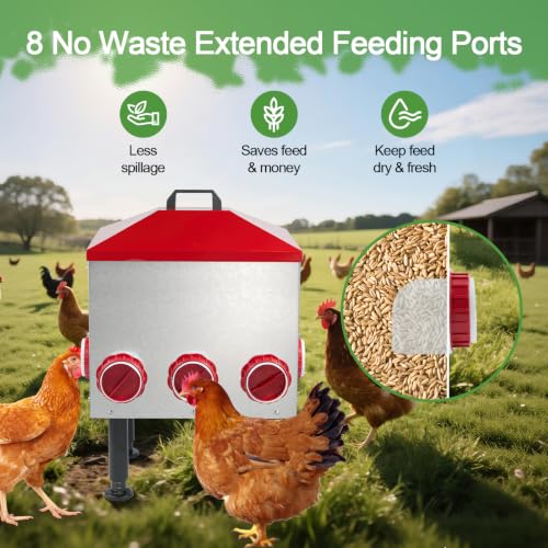 Large Automatic Chicken Feeder, 55LBS Chicken Feed Dispenser with Lid, 8 Feeding Ports, Adjustable Legs, Rodent Free, Waterproof Outdoor Metal Poultry Feeder