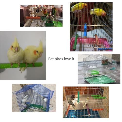 Hamiledyi Bird Perches for Cage Grinding Sand Bird Perches 8pcs Claw Trim Cage Perches Stand for Starlings, Parakeets Lovebirds Canaries Green Cheeked Conures (0.78 in Diameter)