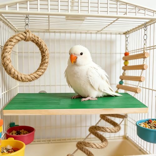 3 Pack Bird Perch Stand, Natural Wood Platform and Playground Cage for Parrot, Conure, Parakeet, Budgie, Cockatiel, and Chinchilla Small Pets