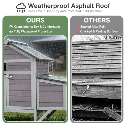 Chicken Coop for 2-3 Chickens, Outdoor Wooden Hen House with Nesting Box, Waterproof Roof, Predator-Proof Latch, Pull-Out Tray, Easy Clean Backyard Coop