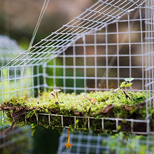 Hardware Cloth 1/4 inch 48 x 50 ft Wire Fencing: Galvanized Welded Garden Fence Roll Square Mesh 23 Gauge Chicken Rabbit Snake Cage Heavy Duty Welding Fencing - size: 1/4inch 48''x50'