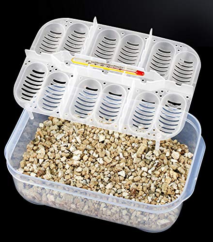 OMEM Reptile Breeding Box, Reptile Egg Incubators, Hatchery Box, for Hatching Gecko, Lizards, Lions Mane, Reptiles (Thermometer, Transparent Box) - size: No Thermometer