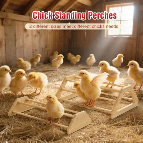 Pawaboo 7-in-1 Chicken Brooder Box Chick Starter Kit, Red + Wood Color | Includes Chicks Perches, Chicken Feeders, Chick Waterers, Chickens Feeding Spoon, Chicks Supplies (Brooder Set) - color: Red + Wood Color