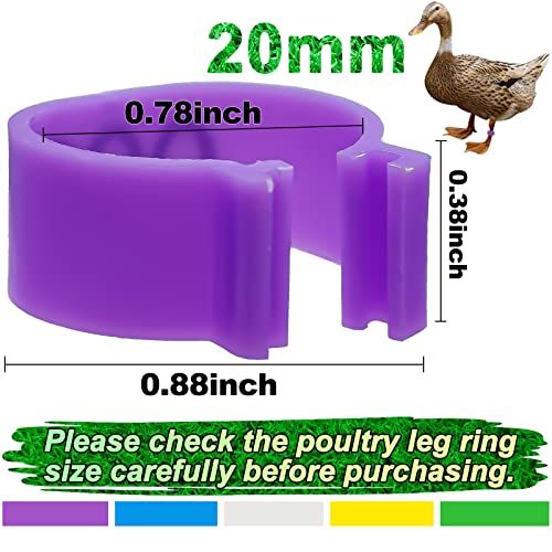 Keedolla 100Pcs 20mm Chicken Leg Rings 5 Colors Numbered Chicken Identification Leg Bands Poultry Tags, Poultry Ankle Rings for Ducks Guinea Goose Gamefowl Turkey - Medium - size: 20mm - 5 Colors