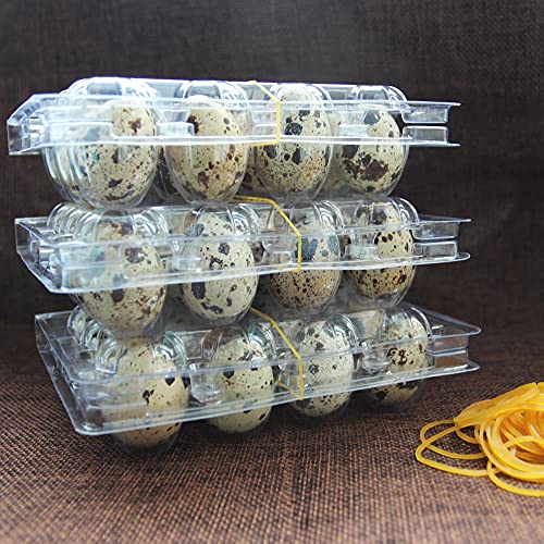 Quail Egg Cartons 100 Pack,Plastic Quail Egg Holder 12 Tray of Small Quail Eggs Storage Holders,Cheap Bulk Quail Egg Container for Refrigerator