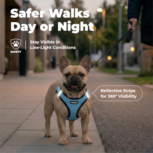 Voyager Step-in Air Dog Vest Harness - Baby Blue/Black Trim, XX-Small | 12 - 13.5" in Chest, Reflective Bands, All Weather Breathable Air Mesh, Cats Compatible, Lightweight, Fast Drying - color: Harness (Baby Blue/Black Trim), size: XXS (Chest: 12 - 13.5"