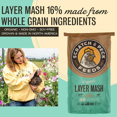 Scratch and Peck Feeds | Layer Mash for Chickens & Ducks | 50 lb Bag | 16% Protein, Corn & Soy Free, Fermentable Whole Grains, Certified Organic & Non-GMO Project Verified, Complete Nutrition - size: 50 Pound (Pack of 1), style: Layer Feed
